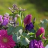 violette-bouquet mauve-la ronde des fleurs-livraison-rennes