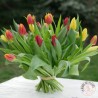 bouquet de tulipes colorées-La ronde des fleurs- Rennes