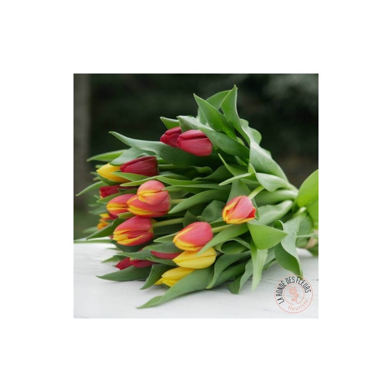 bouquet de tulipes colorées La Ronde des Fleurs
