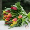 bouquet de tulipes colorées La Ronde des Fleurs