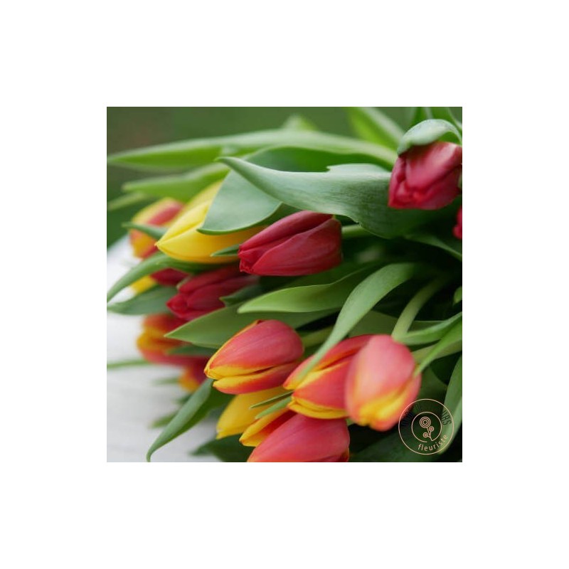 bouquet de tulipes colorées-La ronde des fleurs- Rennes