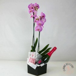 Orchidée rose avec sa bouteille de fines bulles petillantes  et des bonbons à la rose.La Ronde des Fleurs