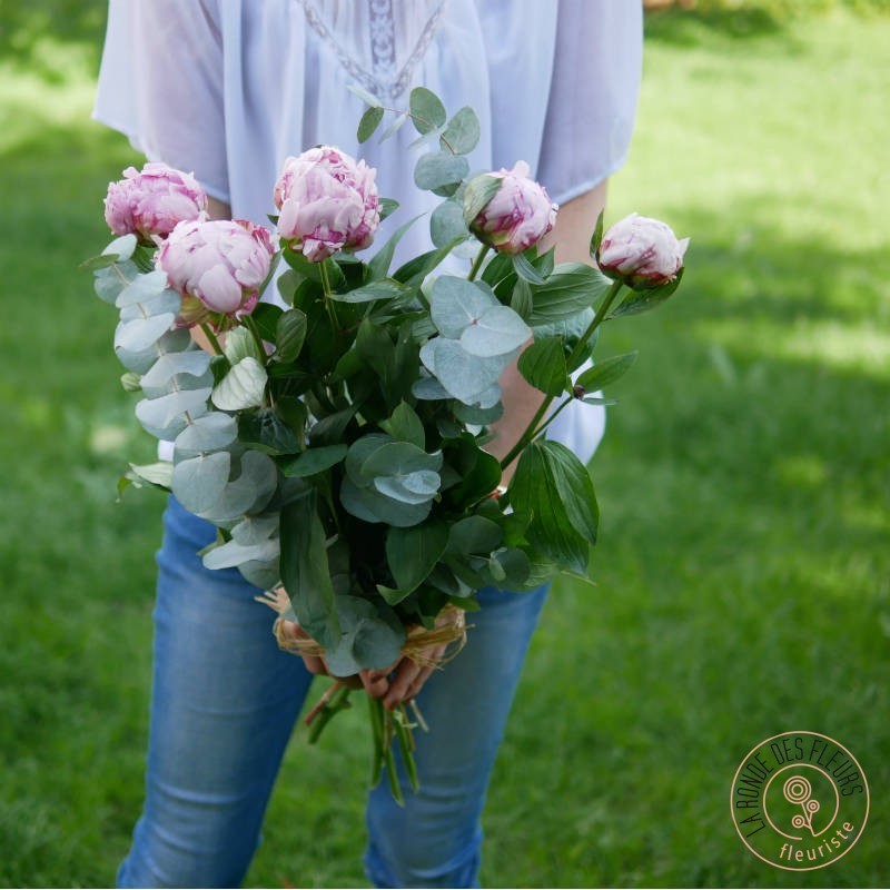 les chouchoutes sont les pivoines