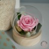 bulle rose éternelle  dans sa boule en verre fleurs séchées rennes