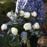 eden bouquet de roses blanches chardons bleus et eucalyptus