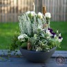 pensées joli jardin paysagé de plantes d'extérieur coloris blanc