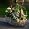 voyage jardin paysagé de plantes d'extérieur dans son panier barque