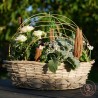 voyage jardin paysagé de plantes d'extérieur dans son panier barque