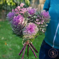 chou choux bouquet de choux décoratifs et feuillages