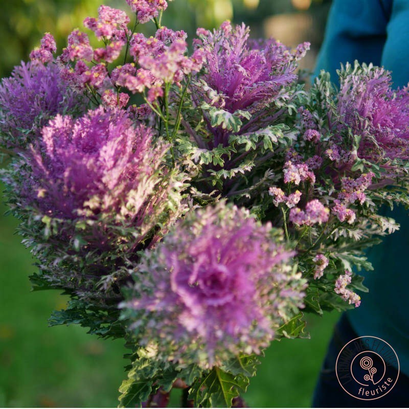 chou choux bouquet de choux décoratifs et feuillages