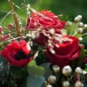 Etincelle bouquet de Noël La Ronde des Fleurs Rennes