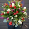 love tulipes