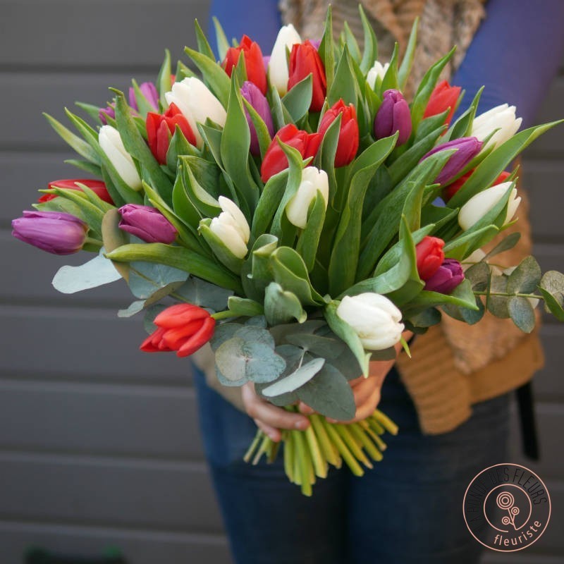 love tulipes