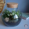 terrarium trias de forme boule avec bouchon en liège