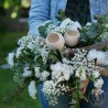 bouquet de fleurs blanches à sécher cocooning pour offrir à rennes