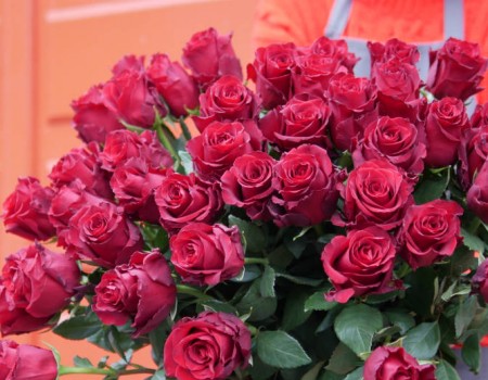 Pourquoi offrir des fleurs à la Saint Valentin?